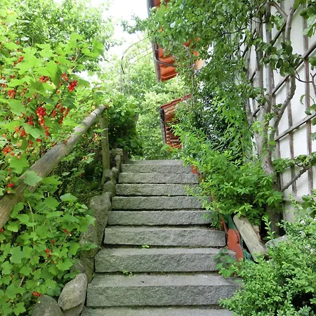 Apartment Appealing In With Balcony Bad Bayersoien