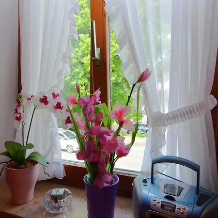 Appealing In With Balcony 아파트 *